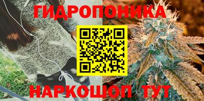 PSILOCYBIN Волжский