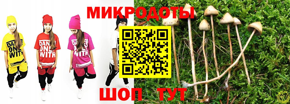 Галлюциногенные грибы Magic Shrooms Барнаул