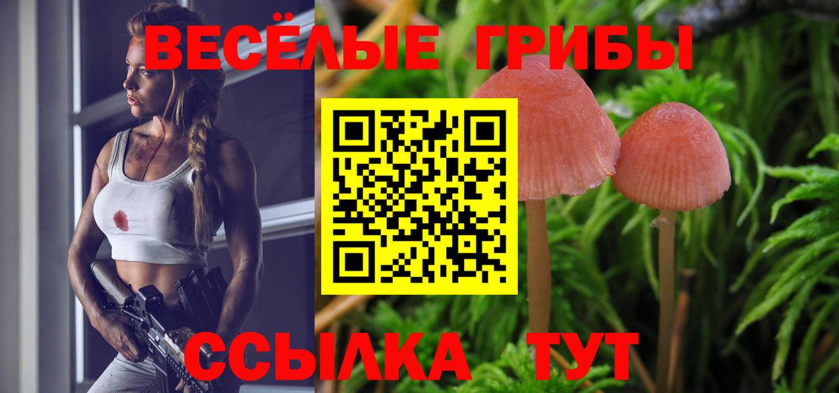 Галлюциногенные грибы прущие грибы  Галлюциногенные грибы Psilocybe  Барнаул  Вход с VPN 